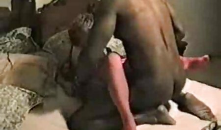脂肪ミーティング湿式 エッチ 動画 熟女