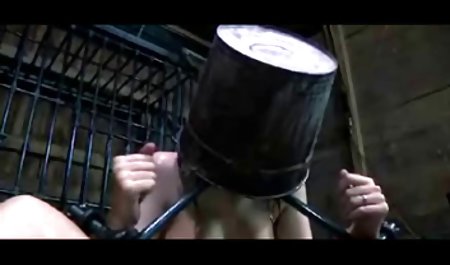 ホ角質や妊娠中の女の子と男の子の恋を得で 女性 h 動画
