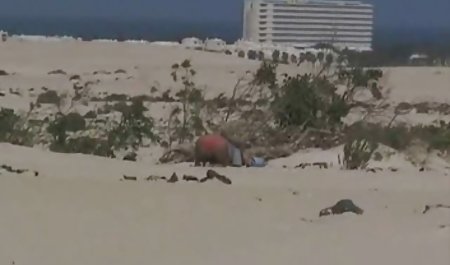 恐竜赤毛ニワトリは、彼女の人ね こっそり エロ 動画